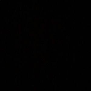 Meet your Posher, Jayden